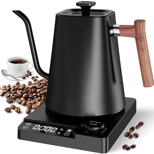 Windancy Hervidor Swan 1L con ajuste de temperatura