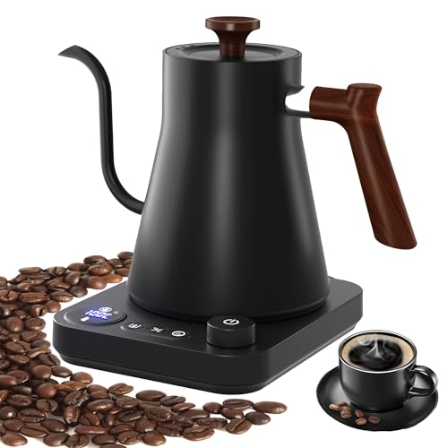 Hervidor de cuello de cisne con control de temperatura para café